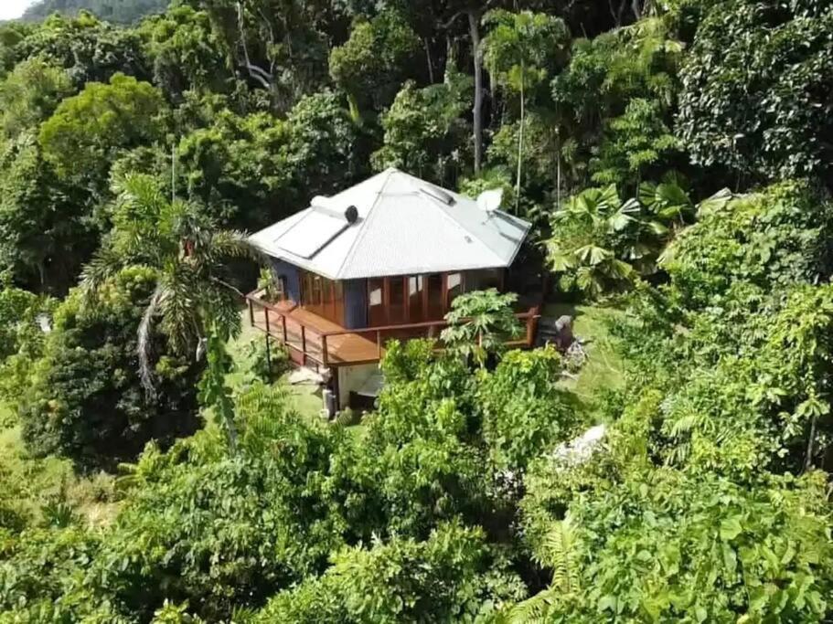 Treeverb Beach House - Daintree Cow Bay Esterno foto