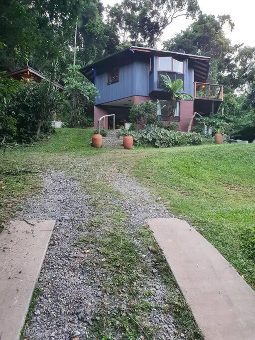 Treeverb Beach House - Daintree Cow Bay Esterno foto